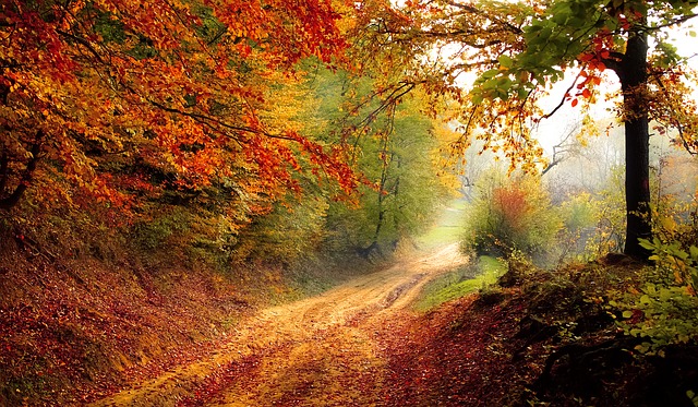 Herbstgedichte - Impressionen zum Herbst