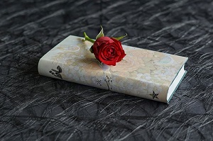 Gedichte - Buch