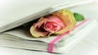 Rose im Poesiealbum